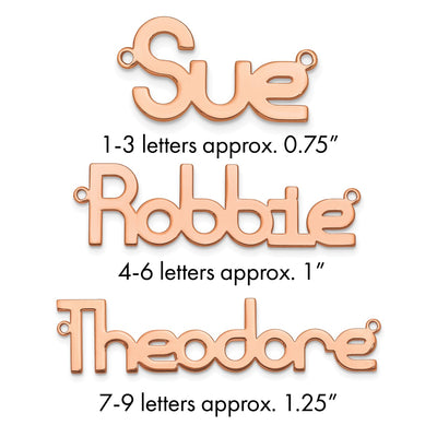 SS/Rhodium-plated Polished Name Plate