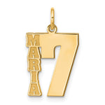 14K Yellow Gold Name and Number Charm view
