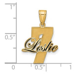 14K Yellow Gold with Epoxy Name and Number Pendant view