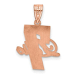 14K Rose Gold with Epoxy Name and Number Pendant view