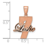 14K Rose Gold with Epoxy Name and Number Pendant view