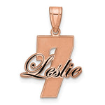 14K Rose Gold with Epoxy Name and Number Pendant view
