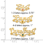 SS/Gold-plated w/ Gold-plated Bezel Birthstone Flower Name Plate view 15