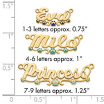 Sterling Silver/Gold-Plated Epoxy Paw Print Name Plate view 25