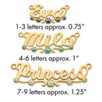 Sterling Silver/Gold-Plated Epoxy Paw Print Name Plate view 21