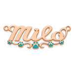 Sterling Silver/Gold-Plated Epoxy Paw Print Name Plate view 13