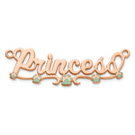 Sterling Silver/Gold-Plated Epoxy Paw Print Name Plate view 14
