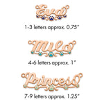 Sterling Silver/Gold-Plated Epoxy Paw Print Name Plate view 11