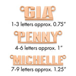 Sterling Silver/14k Rose Gold Underlined Name Plate view 3