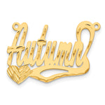 10k White Gold Diamond-cut Heart Name Plate view 13