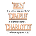 10k Yellow Gold Underlined Name Plate view 14