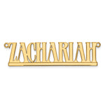 10k White Gold Underlined Name Plate view 9