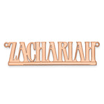 10k White Gold Underlined Name Plate view 14