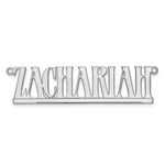 10k White Gold Underlined Name Plate view 4