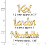 sterling Silver/Rhodium-plated Polished Name Plate view