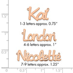 sterling Silver/Rhodium-plated Polished Name Plate view