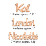 sterling Silver/Rhodium-plated Polished Name Plate view
