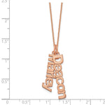 14K Rose Gold Brushed 2 Name Charm Necklace view