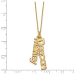 14K Yellow Gold Brushed 2 Name Charm Necklace view