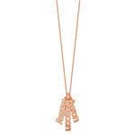 14K Rose Gold Brushed 3 Name Charm Necklace view