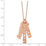 14K Rose Gold Brushed 3 Name Charm Necklace view