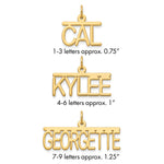 Sterling Silver/Gold-plated Top Br Name Plate view 11