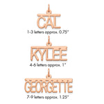 Sterling Silver/Gold-plated Top Br Name Plate view 16