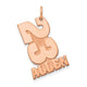 14K Rose Gold Stacked Number and Name Charm