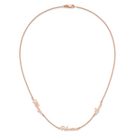 Sterling Silver/Rose-plated Brushed 3 Name Necklace view