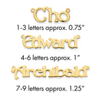 sterling Silver/Rhodium-plated Polished Name Plate view