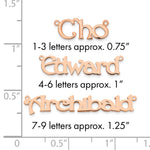sterling Silver/Rhodium-plated Polished Name Plate view