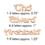 sterling Silver/Rhodium-plated Polished Name Plate view