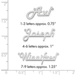 10k White Gold Underlined Name Plate view 5