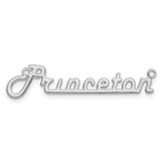 Sterling Silver/Rose-gold Underlined Name Plate view 9