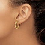 14k & 10k Gold Brushed Initial Post Hoop Earrings view 3