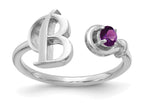 10K White Gold / B