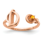 10K Gold Letter with Birthstone Ring view