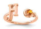 10K Rose Gold / H
