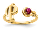 14K Yellow Gold / P