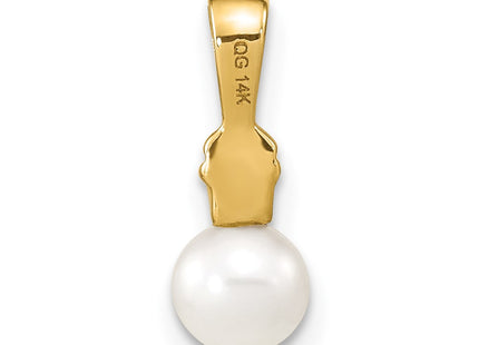 14k Yellow Gold Pendants Style XP4160 - Classique Jewelry Inc.
