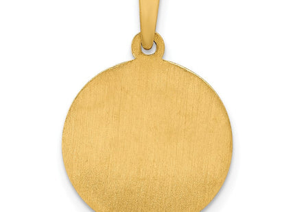 14k Polished and Satin Sacred Heart of Jesus Medal Hollow Pendant (Style XR1237)