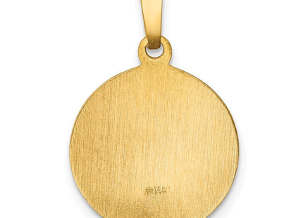 14k Polished and Satin Sacred Heart of Mary Medal Hollow Pendant (Style XR1261)