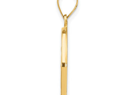 14k Polished and Satin St Luke Medal Hollow Pendant (Style XR1355)