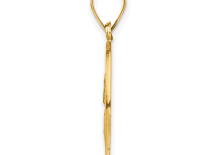 14k Polished and Satin St Paul Medal Hollow Pendant (Style XR1377)