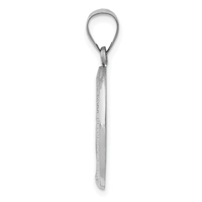 14K White Gold Polished /Satin Miraculous Medal Hollow Pendant, 28 x 14mm