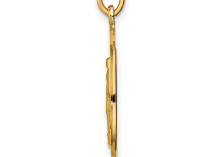 14K gold miraculous medal pendants & charm, alternate view