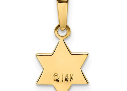 14k Polished and Enameled Solid Star of David Pendant (Style XR1971)