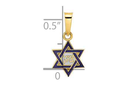 14k Polished and Enameled Solid Star of David Pendant (Style XR1971)