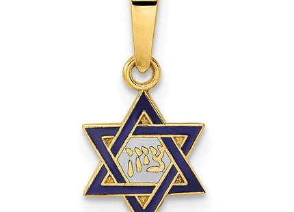 14k Polished and Enameled Solid Star of David Pendant (Style XR1971)