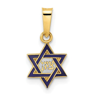 14k Polished and Enameled Solid Star of David Pendant (Style XR1971)